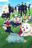 3年Z组银八老师 (2025) 更至第2集 1080P · SDR · 400MB/集 内嵌中字