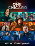 芝加哥警署 第十三季 Chicago P.D. Season 13 (2025) 【第1集】【1080P】【内封简繁】