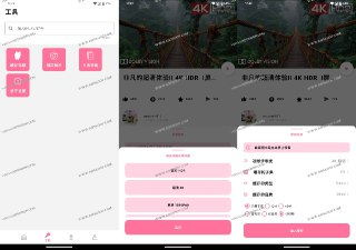 【软件】《哔哩哔哩视频解析下载工具 支持4K-BILIBILIAS》