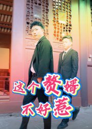 【短剧】这个赘婿不好惹（27集全集）