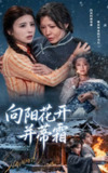 【短剧】向阳花开并蒂霜（60集全集）燕颢元&李沁霏