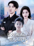 【短剧】意外邂逅美人入我怀（82集全集）李思杨&孙同钰