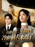 【短剧】再婚后三年抱俩冷面前夫来迟了（63集全集）周士超&姜钰佳