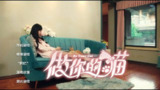 【游戏】《做你的猫v2024.9.16》