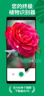 【安卓软件】《PictureThis_植物识别v5_1_1专业版.apk》