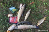 【软件】《钓鱼天气 When to Fish 4.3.1_》