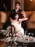 【短剧】笙笙入怀（108集全集）黄宥天＆包金妮