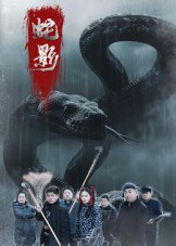 【短剧】蛇影（25集全集）刘灵&闫一英
