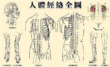 动画演示经络