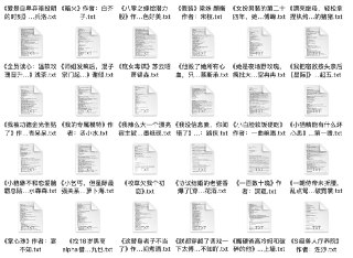 2025.2.27 付费抖音豆瓣知乎番茄爽文小说 防和谐速存