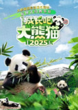 成长吧！大熊猫2025 成长吧大熊猫 (2025) 更新18 更新中 【纪录片】