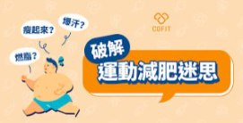 许岑・为什么不运动就可以减肥