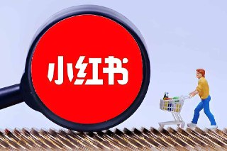 小红书学习资料训练营
