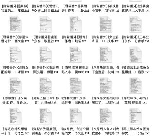 2025.3.1 付费抖音豆瓣知乎番茄爽文小说 防和谐速存