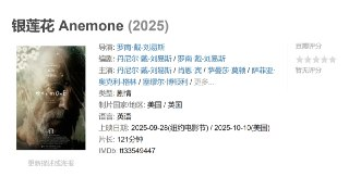 银莲花 Anemone (2025)