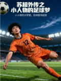 【短剧】苏超外传之小人物的足球梦（70集全集）