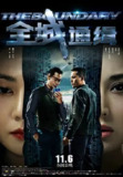 全城通缉 (2014)