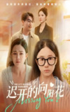 【短剧】迟开的向阳花（60集全集）梁昦子&姜妮彤