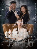 【短剧】螳螂捕蝉，黄雀在后（65集全集）彭千玲＆郑天阳