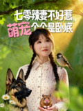【短剧】七零辣妻不好惹萌宠个个是卧底(96集全集)王云菲&姜铭怀