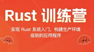 极客时间-Rust 训练营2024(十二周,缺两周)