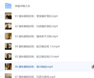 68fcdf534db28.jpg (320×266)