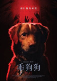 好狗狗(2025)【4K.DV.HDR】【高码率】【内封简繁英双语字幕】