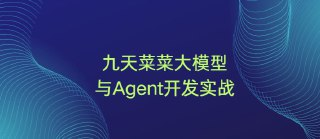 九天菜菜-大模型与Agent开发实战
