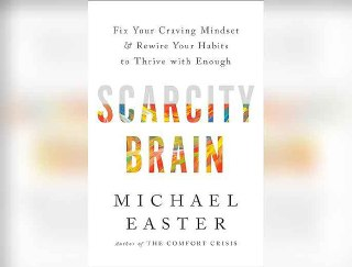 【解读】Scarcity Brain(音频+PDF)