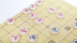 《豪氏象棋教程》跟着视频学下象棋 杀败小区门口老大爷【教程】【MP4】【6.57GB】
