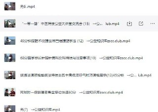 《李卫平秘方秘术绝活培训班班男科女科疼痛等病理实操》[mp4]