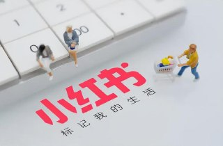 2025小红书实操起号认知课