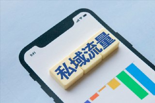 私域IP变现高手课,做好私域,被动成交,教你如何打造好朋友圈做好社群
