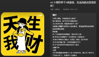 【播客】离职单干4条路径,创业的起点是做咨询?【30分钟】