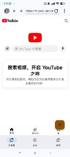VidSnap | 视频下载器 支持油管 国际抖音等
