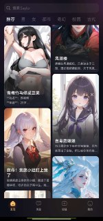 Saylo 2.1.4 无限制女友聊天