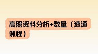 高照资料分析+数量(速通课程)