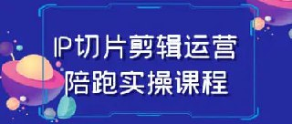 IP切片剪辑运营陪跑实操课程