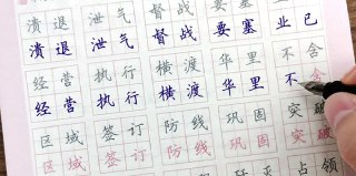 龚老师《速写练字课程合集》