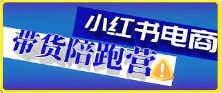 盗坤·小红书电商带货陪跑营（第十一期）