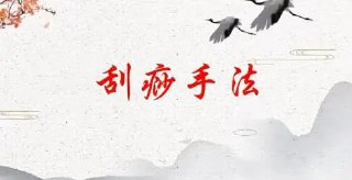 人体十二部刮痧视频课程
