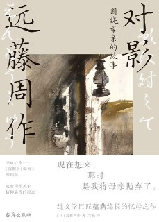 《对影：围绕母亲的故事》(azw3+epub+mobi+pdf)[百度网盘]