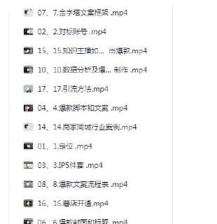 小红书商业IP变现私教,手把手教会你从0-1制作短视频到变现的全过程