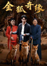 【短剧】金狐奇缘(42集全集)李图图&张旭