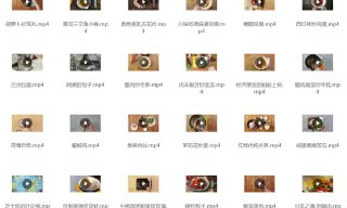 各地经典100道名菜制作视频教程合集 珍藏资源