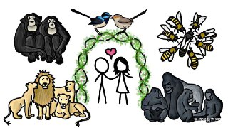 6904436568938.jpg (320×180)