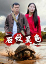 【短剧】石纹灵龟(30集全集)王浩&刘灵