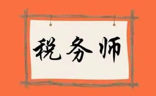 2024年税务师【手把手教你做好税务会计实操-蜜蜂岛（完结）】