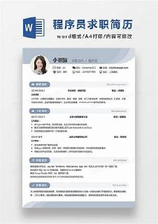 最新IT程序员等简历模版