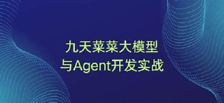 九天菜菜-大模型与Agent开发实战